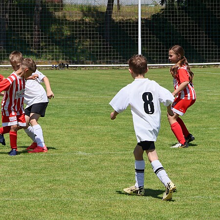 1235 - 1 - Černíkovice - Přepychy