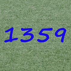250718 - Rychnov - YOUNG STARS - 5. den - 212a