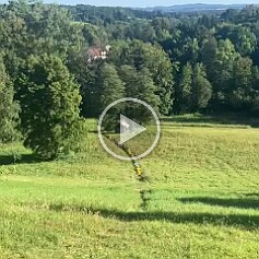 Video WhatsApp, 2025-08-19 v 08.26.01_79672767