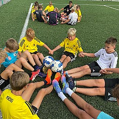 Obrázek WhatsApp, 2025-08-22 v 09.49.50_fc97c413