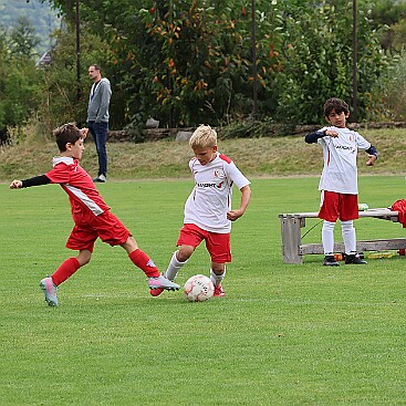 IMG_2952