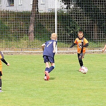IMG_2981