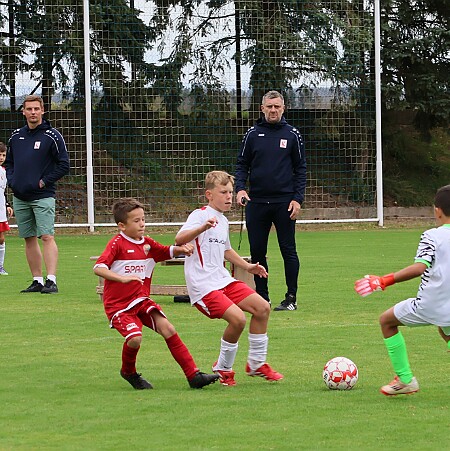 0942 - Jaroměř - Úpice - Opočno+Dobruška - L.Bohdaneč - Orlicko - Pardubice