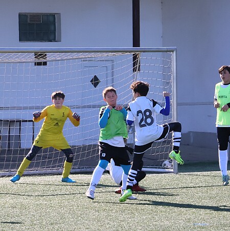 0854 - Solnice - Rychnov