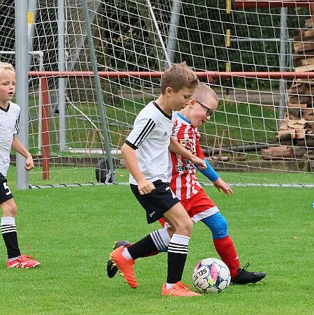 0900 - Černíkovice červená - Rychnov A