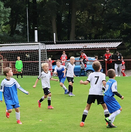 0940 - Rychnov A - Lípa