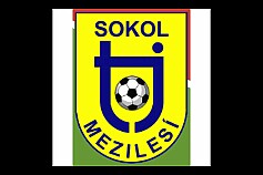 Mezilesí null
