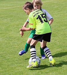 260531 - Rychnov A - Albrechtice+Borohrádek - Týniště - OP MP U9 - ©PR - 161-L null