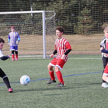 260301 - Dobruška - Zimní liga mladších žáků - ©PR - 030 null