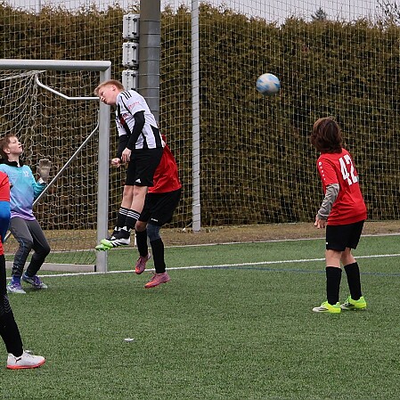 1216 - Rychnov - Dobruška+Opočno