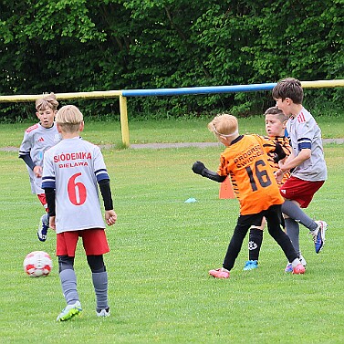 260516 - Vamberk - Fotbal bez hranic - U9 - ČR+PL - ©PR - 312