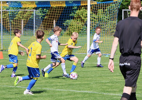 1030 - Selected legebds - Vamberk žlutý 1030 - Selected legebds - Vamberk žlutý