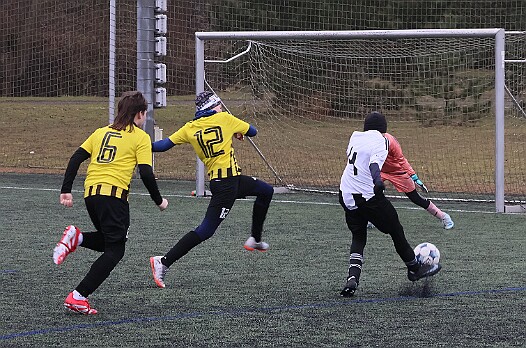 260208 - Dobruška - Zimní liga mladších žáků - ©PR - 012