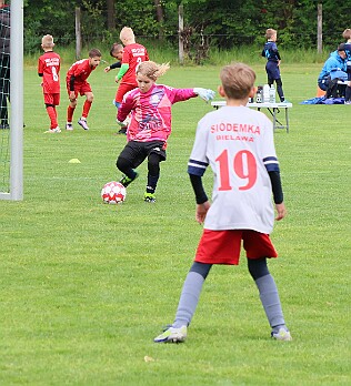 260516 - Vamberk - Fotbal bez hranic - U9 - ČR+PL - ©PR - 321