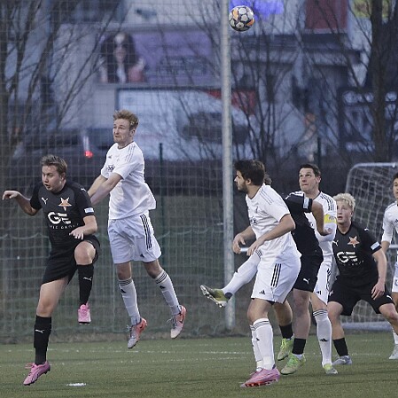 260308 - Slavia HK B - Kostelec nO - přípravný zápas mužů - ©ZH © Zdenek Hrobský