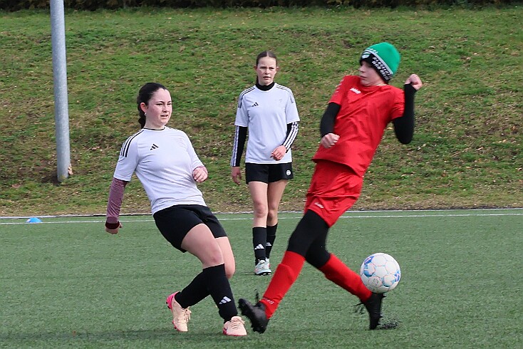 260321 - Boro+Alb - Přepychy - ZL U13 KOVO KV MŽ - hř. RK - ©PR - 005 null