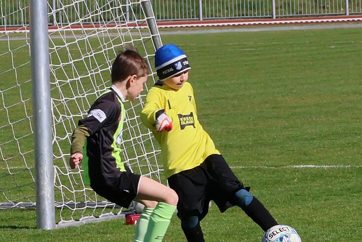 260426 - RK A - Alb+Bor - Týn - OP MP U9 - ©PR - 024 null