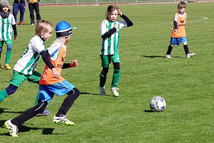 260426 - RK A - Alb+Bor - Týn - OP MP U9 - ©PR - 100 null