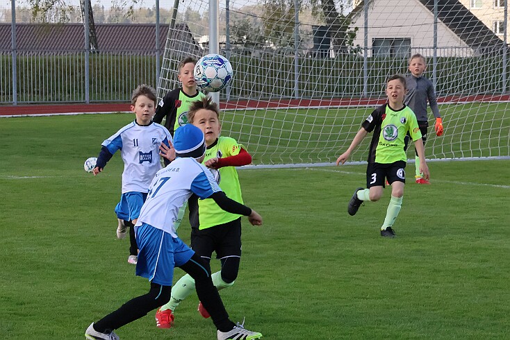 260426 - RK A - Alb+Bor - Týn - OP MP U9 - ©PR - 001 null