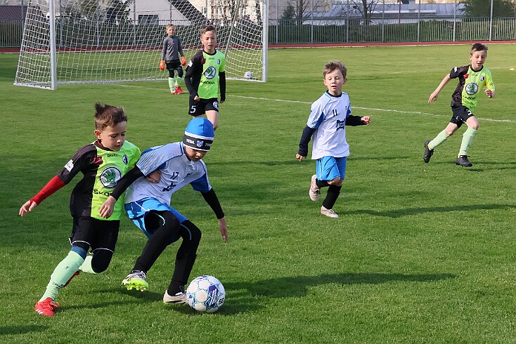 260426 - RK A - Alb+Bor - Týn - OP MP U9 - ©PR - 003 null