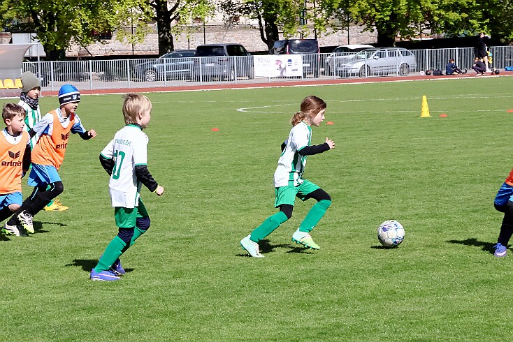 260426 - RK A - Alb+Bor - Týn - OP MP U9 - ©PR - 095 null