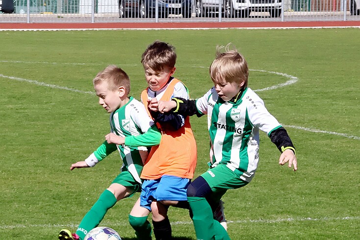 260426 - RK A - Alb+Bor - Týn - OP MP U9 - ©PR - 096 null