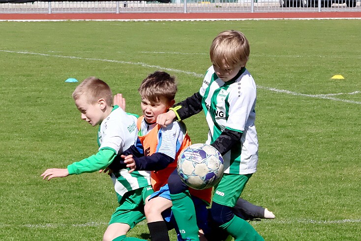 260426 - RK A - Alb+Bor - Týn - OP MP U9 - ©PR - 097 null