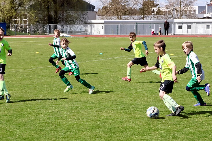 260426 - RK A - Alb+Bor - Týn - OP MP U9 - ©PR - 159 null