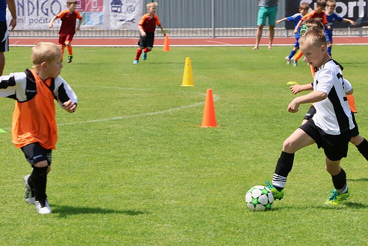 260524 - Rychnov - OS RK MP U9 - ©PR - 011 null