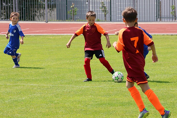 260524 - Rychnov - OS RK MP U9 - ©PR - 038 null
