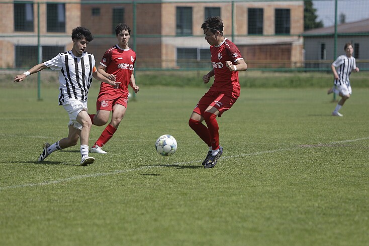 26-05-31 021 null