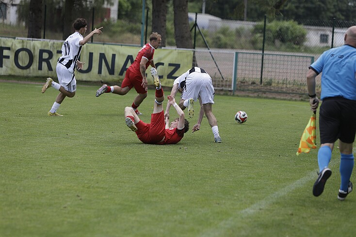 26-05-31 186 null