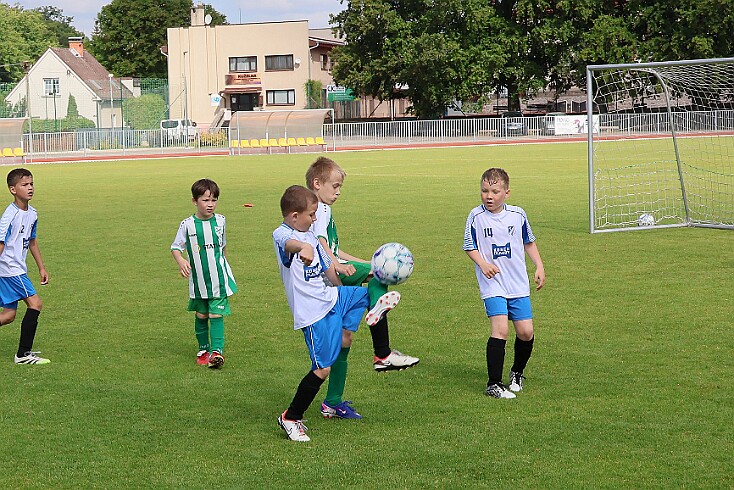 260531 - Rychnov A - Albrechtice+Borohrádek - Týniště - OP MP U9 - ©PR - 077 null