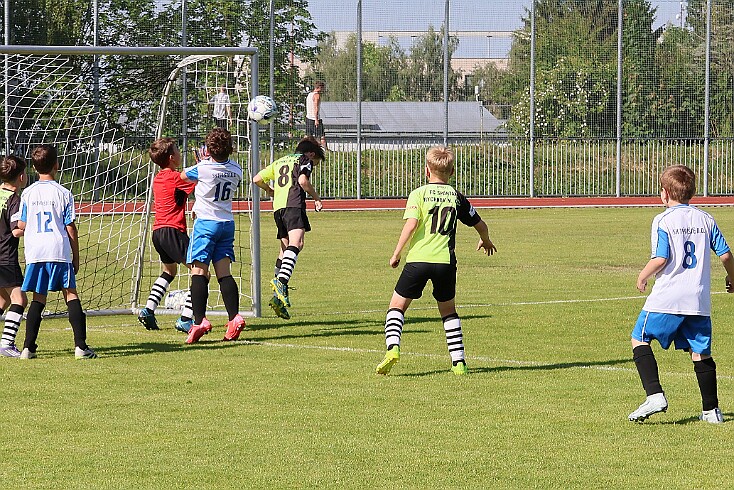 260531 - Rychnov A - Albrechtice+Borohrádek - Týniště - OP MP U9 - ©PR - 009 null