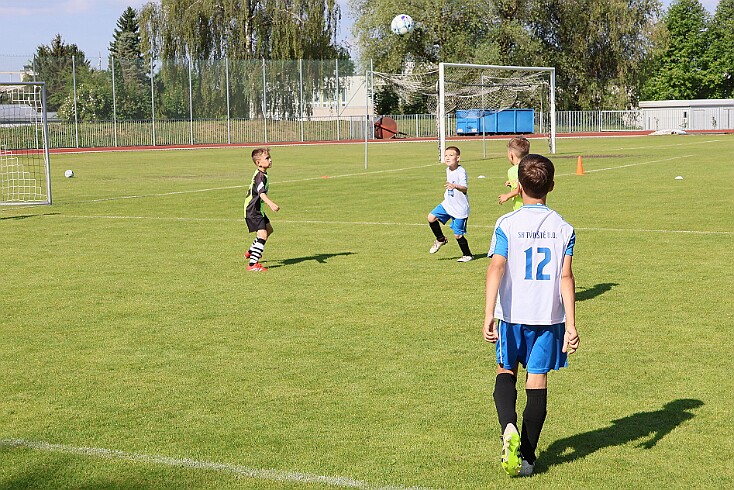 260531 - Rychnov A - Albrechtice+Borohrádek - Týniště - OP MP U9 - ©PR - 022 null