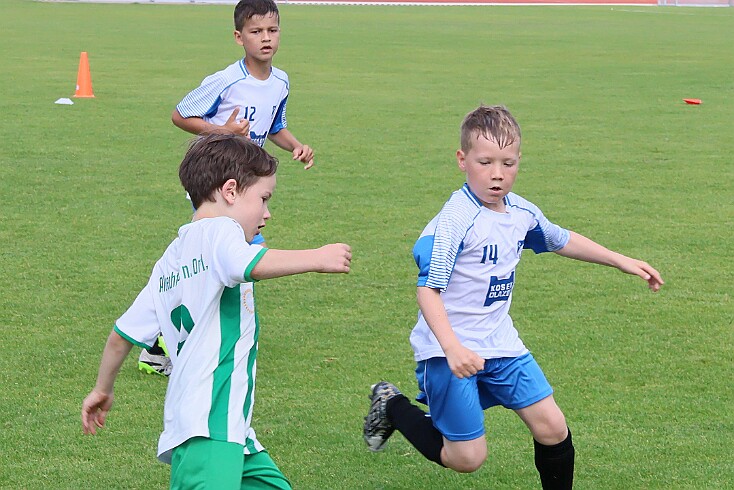 260531 - Rychnov A - Albrechtice+Borohrádek - Týniště - OP MP U9 - ©PR - 075 null