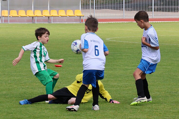 260531 - Rychnov A - Albrechtice+Borohrádek - Týniště - OP MP U9 - ©PR - 106 null