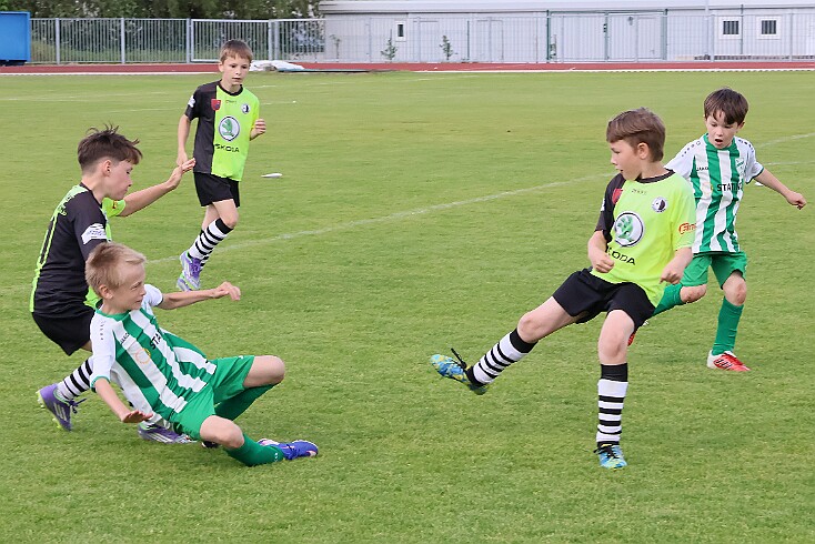260531 - Rychnov A - Albrechtice+Borohrádek - Týniště - OP MP U9 - ©PR - 173 null