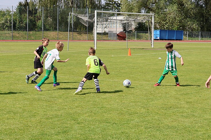 260531 - Rychnov A - Albrechtice+Borohrádek - Týniště - OP MP U9 - ©PR - 175 null
