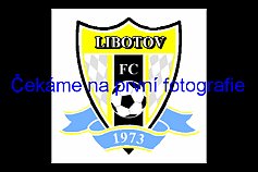 Libotov-