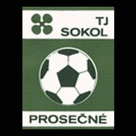 Prosečné Hlavní hřiště: 90 * 56 © Špička Zdeněk