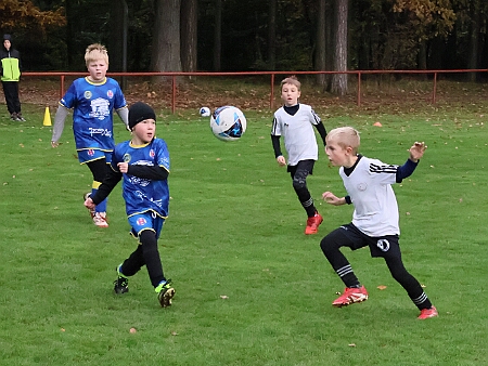 251018 - Kostelecká Lhota+Vamberk B - Rychnov - Albrechtice+Borohrádek zelená - OP MP U9 OFS RK - ©PR